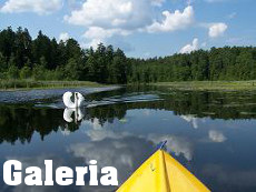 Agroturystyka Płaska galeria